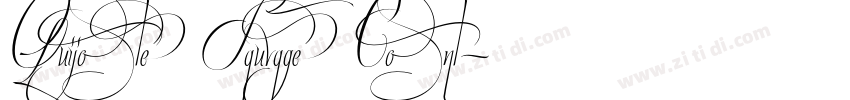 Quijote Sauvage Cont字体转换